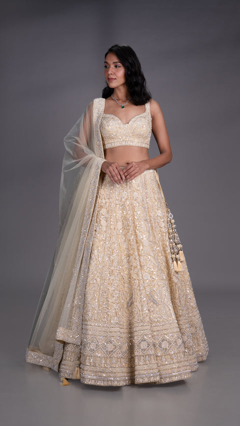 Beige Organza Tissue Base Bridal Lehenga With Dupatta