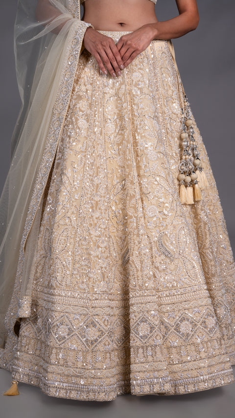 Beige Organza Tissue Base Bridal Lehenga With Dupatta