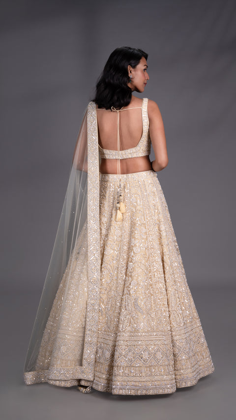 Beige Organza Tissue Base Bridal Lehenga With Dupatta